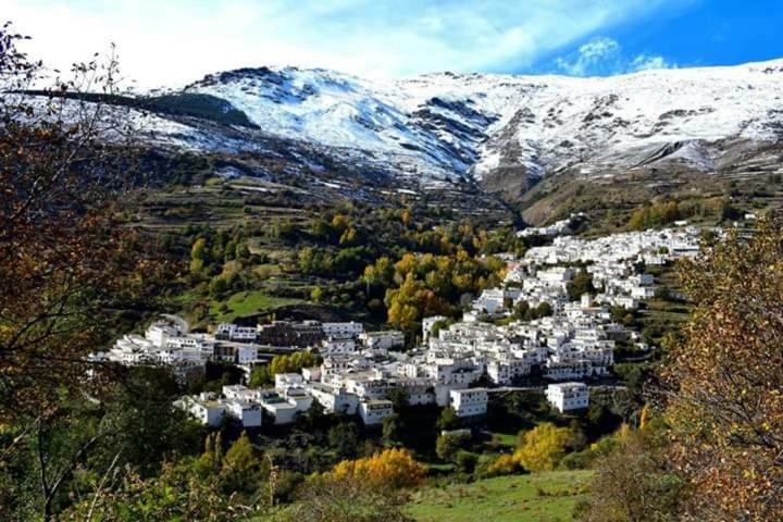 Apartamentos Casa Fermina - A 2 Horas De Las Pistas De Esqui Тревелес Екстер'єр фото